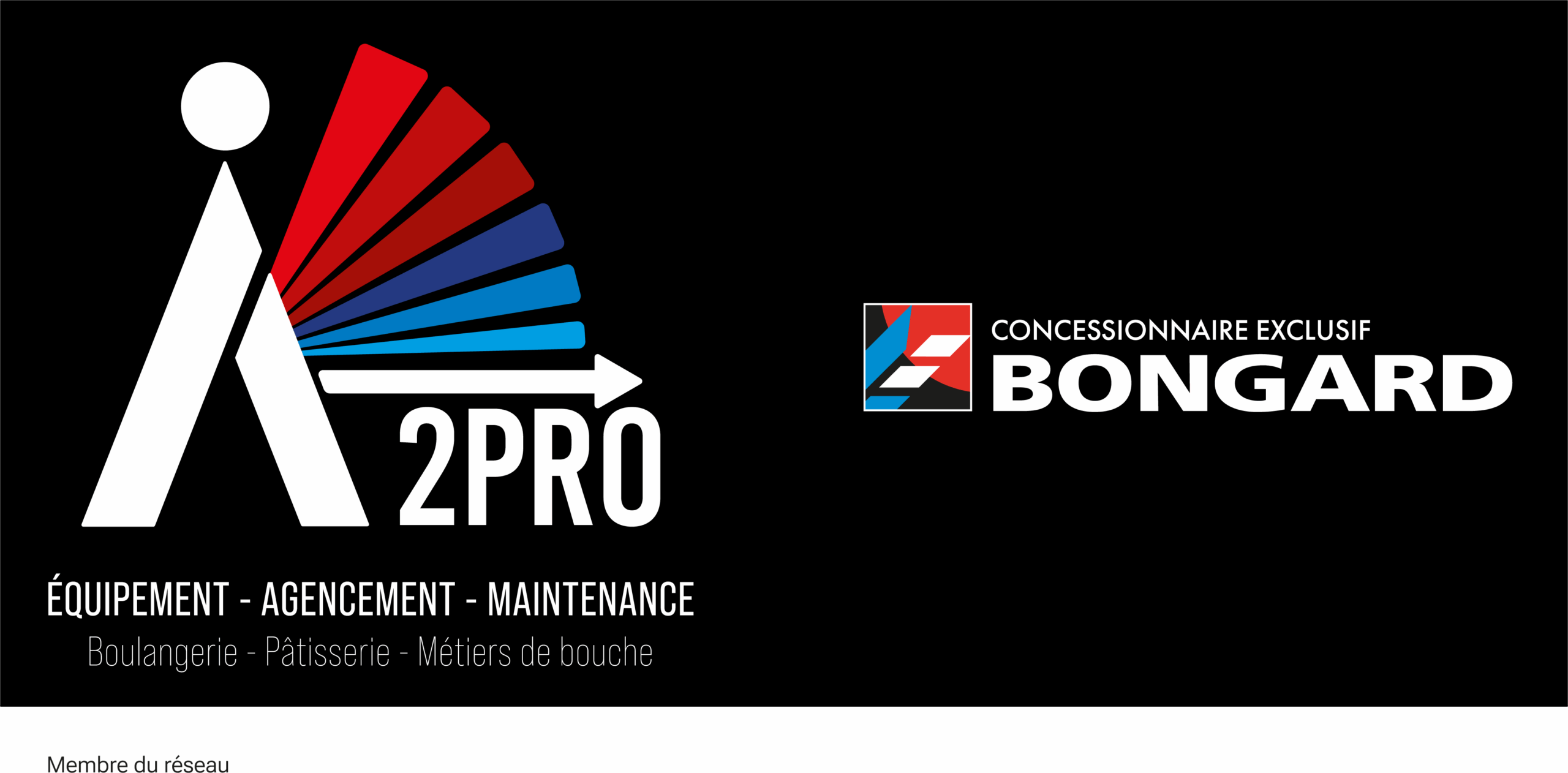 Logo A2PRO